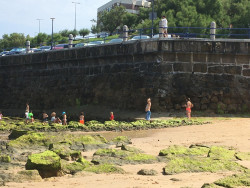 A vueltas con el redeño Francisco Glez-Riancho Colongues