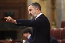 Abascal pide "no lanzar campanas al vuelo" y esperar a la sentencia del Supremo sobre la `ley de nietos`