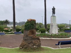 Asesinos de &aacute;rboles y de espacios verdes.    Mariano Cabrero B&aacute;rcena es escritor
