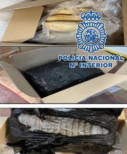 Cae una red criminal en M&aacute;laga que enviaba droga a Francia oculta entre pan congelado