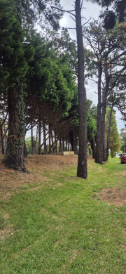  Cantabria para este jueves, 18 de diciembre: Cubierto y temperaturas en aumento