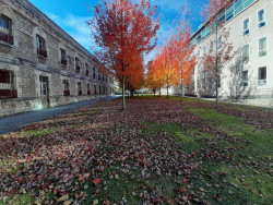 Confirmada la prisi&oacute;n a cinco personas por prostituir a una joven a la que trajeron enga&ntilde;ada de Colombia