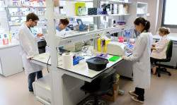 Convocadas ayudas por 2,5 millones para contratar jóvenes investigadores demandantes de empleo