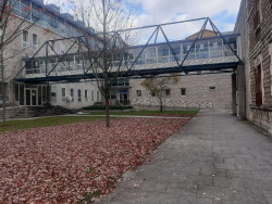 Dos años de prisión a un joven por dar un puñetazo a otro que perdió dos dientes