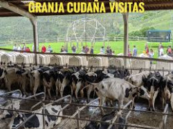 El comunista Garzón y presunto ministro se agarra a las Macrogranjas como una ladilla  Por Pedro  Arce 