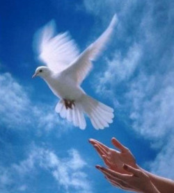 El estar libre, por Mariano Cabrero B&aacute;rcena