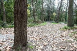  El MITECO concede 2 millones a Torrelavega para el proyecto de recuperación del Patatal