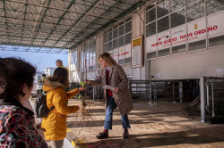 El SERCA comienza a repartir los 4.232 árboles de la campaña `Siembra futuro`
