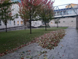 El TSJC confirma 19 a&ntilde;os de prisi&oacute;n a los tres acusados de la violaci&oacute;n grupal a una joven en la Semana Grande de 2022