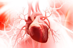 Enchufes para el corazón, por el doctor José Manuel Revuelta