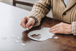 Expertos en Alzheimer avanzan una "nueva era" de desarrollo de f&aacute;rmacos contra la enfermedad
