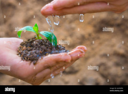 &nbsp;Hombre Ozono.    Por Mariano Cabrero Barcena