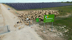 Iberdrola e Ingeteam avanzan en la hibridación de plantas solares con nuevos sistemas de almacenamiento
