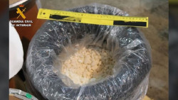 Incautan m&aacute;s de 3,2 toneladas de droga alucin&oacute;gena en el Puerto de Barcelona