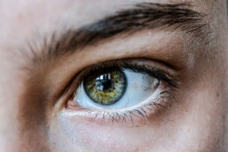 Investigadores del CSIC proponen una nueva estrategia terap&eacute;utica para tratar la degeneraci&oacute;n de la retina