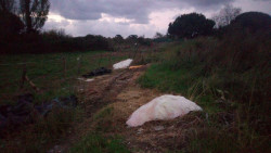 IU alerta de la existencia de dep&oacute;sitos salinos "ilegales" en La Pesquera de Laredo y pide al Ayuntamiento que act&uacute;e