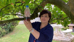  La campa&ntilde;a de trampeo de avispa asi&aacute;tica captur&oacute; 2.073 reinas