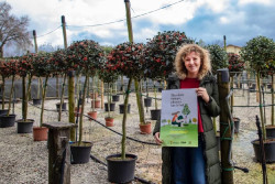 La campaña `Siembra futuro, planta un árbol` repartirá en Torrelavega más de 4.200 ejemplares