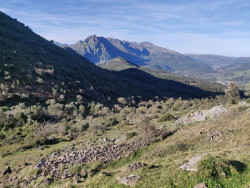 La Comisión Regional de Montes aprueba 25 proyectos para la mejora y conservación de los montes de utilidad pública