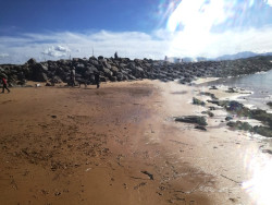 La escollera y la alcaldesa