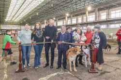 La iniciativa legislativa popular `No es mi cultura` gana el I Premio de Bienestar Animal Ciudad de Torrelavega