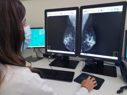 La inmunoterapia mejora las respuestas sin reducir la calidad de vida en el c&aacute;ncer de mama inicial