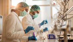 La investigaci&oacute;n en c&aacute;ncer puede tener a&ntilde;os de retraso por el cierre de laboratorios durante el confinamiento
