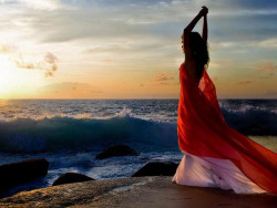 La naturaleza nos engendra a todos libres