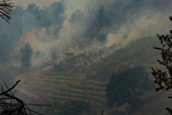 La RFEF y LaLiga muestran su "solidaridad" con los afectados por los incendios