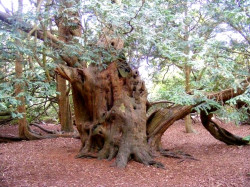 Las materias pendientes de Cantabria: el Corredor del Atl&aacute;ntico, La Pasiega,&nbsp;los fondos europeos para el tren a Bilbao, el AVE del siglo XXI, la pasarela de Serdio, etc. Por Carlos Magdalena.