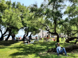 Llegó el verano a Santander con el todo gratis, y los okupas de Mesones.     Carlos Magdalena