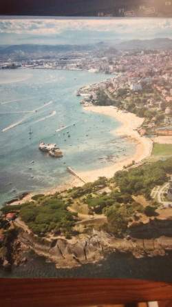 Lo que hay que ver, por Javier Gómez-Acebo Lasso