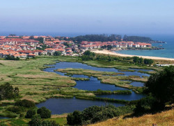 Noja acoge este fin de semana un curso de iniciación a aves acuáticas y límícolas