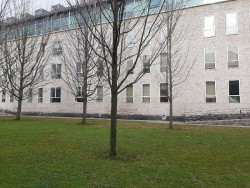 Piden cinco a&ntilde;os a un hombre por abusar de una mujer que padec&iacute;a discapacidad intelectual