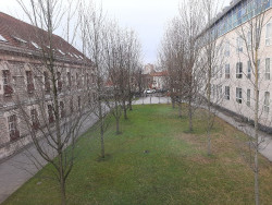 Piden siete a&ntilde;os de prisi&oacute;n para un matrimonio acusado de intentar matar a dos hermanos en Santander