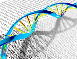 Publican una nueva visi&oacute;n de la gen&oacute;mica humana que describe oportunidades para mejorar la salud humana