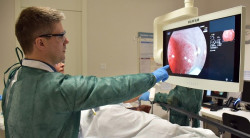 Retrasar la colonoscopia despu&eacute;s de una prueba de heces anormal aumenta el riesgo de c&aacute;ncer colorrectal