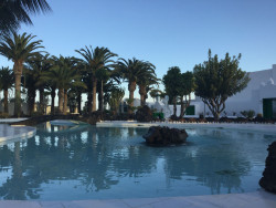 Sánchez desde su tumbona en Lanzarote contemplando como arde España como Nerón tocaba el arpa mientras ardía Roma