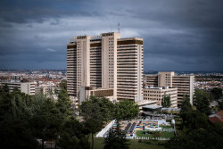 Sanidad confirma el primer caso de hantavirus en Espa&ntilde;a