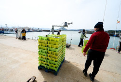 Subvencionadas dos entidades de productores de pesca para sus planes de producci&oacute;n y comercializaci&oacute;n