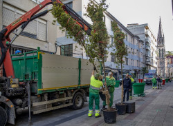 Torrelavega adorna la calle Consolación con diez jardineras de gran tamaño