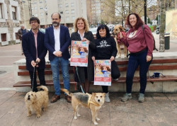 Torrelavega celebrará el día 18 un Carnaval para perros y mascotas en La Llama