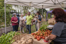 Torrelavega inaugura el III Festival del Tomate en el Parque Manuel Barquín