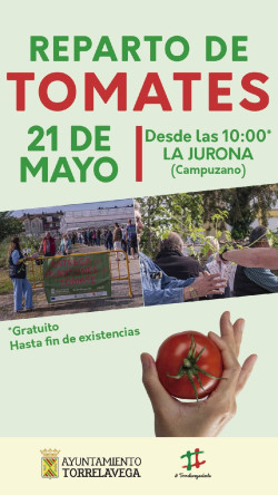 Torrelavega repartir&aacute; este jueves 15.000 plantones de tomate de variedades antiguas