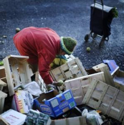 Tratando de subsistir