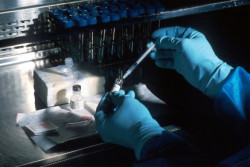 Un fármaco experimental logra reducir tumores metastásicos en seis pacientes y que desaparezcan en dos de ellos
