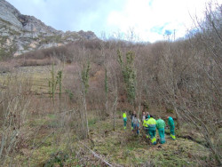 Una nueva cuadrilla de trabajo en Liébana se suma al proyecto `Steps for LIFE`