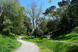 Vecinos en contra de Gema Igual y su pretensión de construir un aparcamiento de caravanas en Mataleñas 