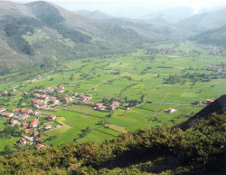 ¡Y parió un ratón!   Por Pedro Arce